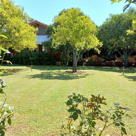 Bahce Villa Çıralı Eksteriør billede